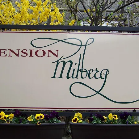 Milberg Assmannshausen