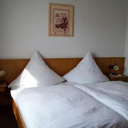 Milberg Assmannshausen 3* Рюдесхайм-на-Рейне