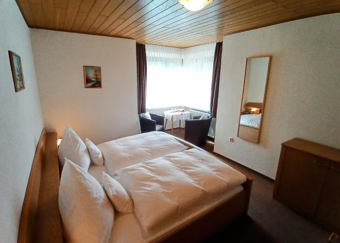 Milberg Assmannshausen 3* Rüdesheim am Rhein