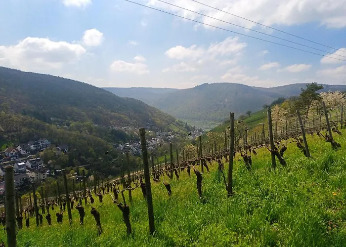 Milberg Assmannshausen 3*