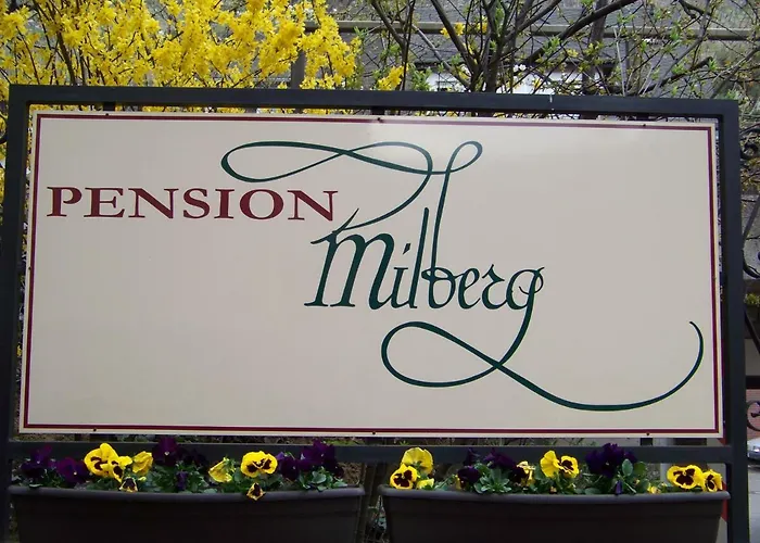 Milberg Assmannshausen