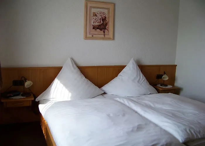 Milberg Assmannshausen 3* Rüdesheim am Rhein